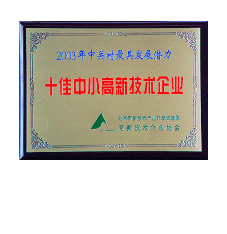 2003年中关村最具发展潜力 十佳中小学高新技术企业